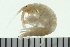  ( - BCAMP0194)  @14 [ ] CreativeCommons - Attribution (2008) Unspecified Centre for Biodiversity Genomics