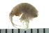  ( - BCAMP0200)  @13 [ ] CreativeCommons - Attribution (2008) Unspecified Centre for Biodiversity Genomics