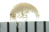  ( - BCAMP0219)  @13 [ ] CreativeCommons - Attribution (2008) Unspecified Centre for Biodiversity Genomics
