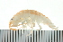  ( - BCAMP0242)  @13 [ ] CreativeCommons - Attribution (2008) Unspecified Centre for Biodiversity Genomics
