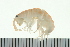  ( - BCAMP0244)  @13 [ ] CreativeCommons - Attribution (2008) Unspecified Centre for Biodiversity Genomics