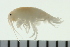  ( - BCAMP0263)  @13 [ ] CreativeCommons - Attribution (2008) Unspecified Centre for Biodiversity Genomics