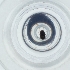  (Telmatophilus brevicollis - CARM_033_D1)  @11 [ ] by  Genome Research Ltd as Wellcome Sanger Institute Genome Research Limited operating as Wellcome Sanger Institute