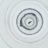  (Eraniella - CARM_033_D9)  @11 [ ] by  Genome Research Ltd as Wellcome Sanger Institute Genome Research Limited operating as Wellcome Sanger Institute