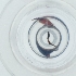  ( - CARM_036_C5)  @11 [ ] by  Genome Research Ltd as Wellcome Sanger Institute Genome Research Limited operating as Wellcome Sanger Institute