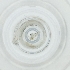  (Chaoborus pallidus - CARM_045_C4)  @11 [ ] by (2023) Genome Research Ltd as Wellcome Sanger Institute Genome Research Limited operating as Wellcome Sanger Institute