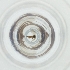  ( - CARM_049_D5)  @11 [ ] by (2023) Genome Research Ltd as Wellcome Sanger Institute Genome Research Limited operating as Wellcome Sanger Institute