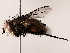  ( - BIOUG71203-G10)  @11 [ ] CreativeCommons - Attribution (2022) CBG Photography Group Centre for Biodiversity Genomics