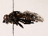  ( - BIOUG71204-C05)  @11 [ ] CreativeCommons - Attribution (2022) CBG Photography Group Centre for Biodiversity Genomics
