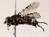  ( - BIOUG71205-C03)  @11 [ ] CreativeCommons - Attribution (2022) CBG Photography Group Centre for Biodiversity Genomics