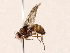  ( - BIOUG71205-H07)  @11 [ ] CreativeCommons - Attribution (2022) CBG Photography Group Centre for Biodiversity Genomics