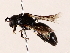  ( - BIOUG71206-H11)  @11 [ ] CreativeCommons - Attribution (2022) CBG Photography Group Centre for Biodiversity Genomics