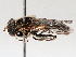  ( - BIOUG73901-D11)  @11 [ ] CreativeCommons - Attribution (2021) CBG Photography Group Centre for Biodiversity Genomics
