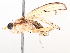  ( - BIOUG73901-H07)  @11 [ ] CreativeCommons - Attribution (2021) CBG Photography Group Centre for Biodiversity Genomics