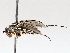  ( - BIOUG73902-C09)  @11 [ ] CreativeCommons - Attribution (2021) CBG Photography Group Centre for Biodiversity Genomics