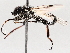  ( - BIOUG73902-F07)  @11 [ ] CreativeCommons - Attribution (2021) CBG Photography Group Centre for Biodiversity Genomics