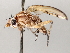  ( - BIOUG73902-F12)  @11 [ ] CreativeCommons - Attribution (2021) CBG Photography Group Centre for Biodiversity Genomics