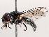  ( - BIOUG73902-G03)  @11 [ ] CreativeCommons - Attribution (2021) CBG Photography Group Centre for Biodiversity Genomics