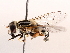  ( - BIOUG73902-H03)  @11 [ ] CreativeCommons - Attribution (2021) CBG Photography Group Centre for Biodiversity Genomics