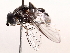  ( - BIOUG73902-H04)  @11 [ ] CreativeCommons - Attribution (2021) CBG Photography Group Centre for Biodiversity Genomics