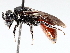  ( - BIOUG73903-B08)  @11 [ ] CreativeCommons - Attribution (2021) CBG Photography Group Centre for Biodiversity Genomics