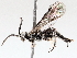  ( - BIOUG73903-C08)  @11 [ ] CreativeCommons - Attribution (2021) CBG Photography Group Centre for Biodiversity Genomics