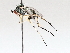  ( - BIOUG73903-D05)  @11 [ ] CreativeCommons - Attribution (2021) CBG Photography Group Centre for Biodiversity Genomics