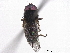  ( - BIOUG85290-A01)  @11 [ ] CreativeCommons - Attribution (2022) CBG Photography Group Centre for Biodiversity Genomics