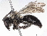  ( - BIOUG85290-G01)  @11 [ ] CreativeCommons - Attribution (2022) CBG Photography Group Centre for Biodiversity Genomics