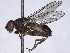  ( - BIOUG85292-C03)  @11 [ ] CreativeCommons - Attribution (2022) CBG Photography Group Centre for Biodiversity Genomics