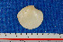  (Dosinella - JH060711)  @14 [ ] Unspecified (default): All Rights Reserved  Unspecified Unspecified
