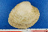  ( - JL081201)  @11 [ ] Unspecified (default): All Rights Reserved  Unspecified Unspecified