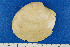  ( - JL081202)  @11 [ ] Unspecified (default): All Rights Reserved  Unspecified Unspecified