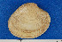  ( - JL081203)  @11 [ ] Unspecified (default): All Rights Reserved  Unspecified Unspecified