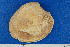  ( - JL081204)  @11 [ ] Unspecified (default): All Rights Reserved  Unspecified Unspecified