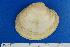  ( - JL081205)  @11 [ ] Unspecified (default): All Rights Reserved  Unspecified Unspecified