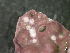  ( - BAT-CA0394)  @11 [ ] by-nd (2020) Unspecified University of British Columbia, The Martone Lab