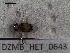  ( - DZMB_HET_0643)  @12 [ ] CreativeCommons - Attribution Non-Commercial Share-Alike (2016) Nadine Lange Carl von Ossietzky University