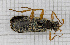  ( - RM3_83)  @11 [ ] (by-nc-nd) (2024) Unspecified Università degli Studi Roma Tre