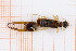  ( - RM3_1390)  @11 [ ] (by-nc-nd) (2025) Unspecified Università degli Studi Roma Tre