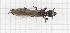  ( - RM3_26)  @11 [ ] (by-nc-nd) (2024) Unspecified Università degli Studi Roma Tre