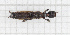  ( - RM3_35)  @11 [ ] (by-nc-nd) (2024) Unspecified Università degli Studi Roma Tre