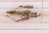  ( - RM3_712)  @11 [ ] (by-nc-nd) (2025) Unspecified Università degli Studi Roma Tre