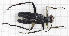  ( - RM3_89)  @11 [ ] (by-nc-nd) (2024) Unspecified Università degli Studi Roma Tre