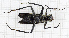  ( - RM3_89)  @11 [ ] (by-nc-nd) (2024) Unspecified Università degli Studi Roma Tre