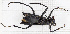  ( - RM3_92)  @11 [ ] (by-nc-nd) (2024) Unspecified Università degli Studi Roma Tre