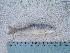  ( - BCF-0104-1)  @12 [ ] Unspecified (default): All Rights Reserved  Unspecified Unspecified