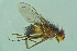  ( - BCFORENSIK0730)  @12 [ ] CreativeCommons - Attribution Non-Commercial Share-Alike (2015) Unspecified SNSB, Zoologische Staatssammlung Muenchen