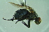  ( - BCFORENSIK0736)  @12 [ ] CreativeCommons - Attribution Non-Commercial Share-Alike (2015) Unspecified SNSB, Zoologische Staatssammlung Muenchen