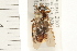  ( - HF052)  @14 [ ] CreativeCommons - Attribution (2008) Unspecified Centre for Biodiversity Genomics